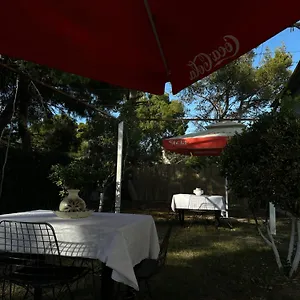 Sunny Appartement